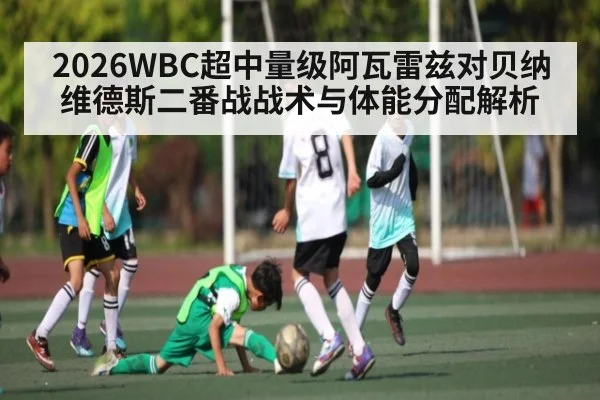 2026WBC超中量级阿瓦雷兹对贝纳维德斯二番战战术与体能分配解析